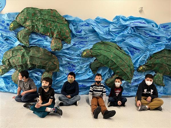 SLC Turtles